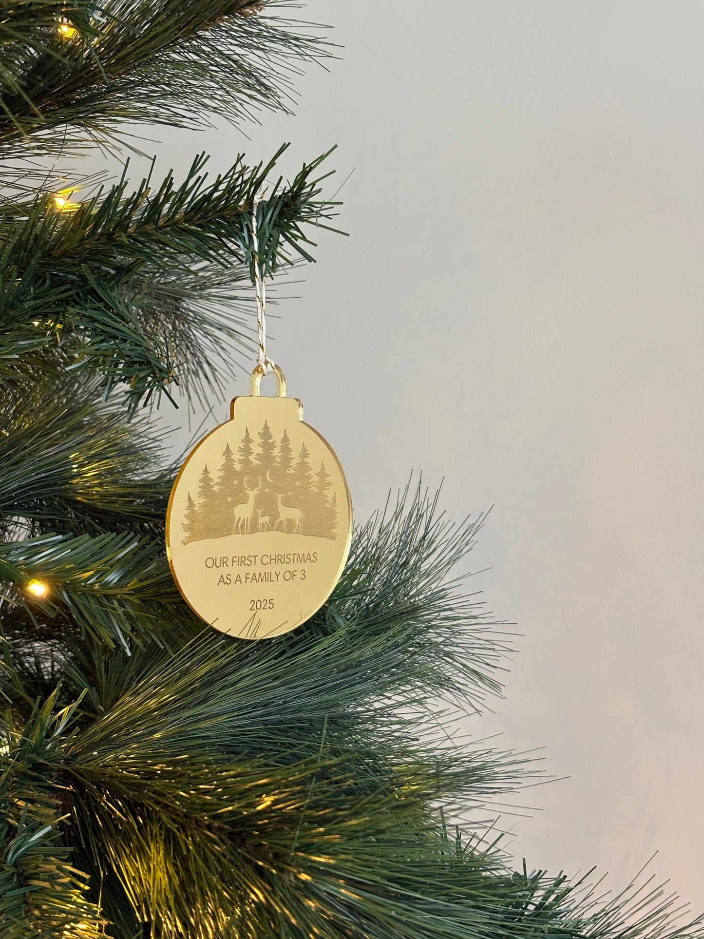 Personalised First Family Christmas Deer Bauble Decoration